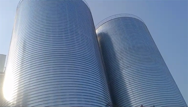 柳城2座混凝土高架卷板仓